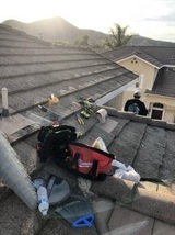 Cleargate Pest Defense, Winnetka