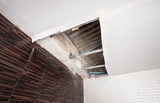 Water Damage Experts of Santa Monica, Santa Monica