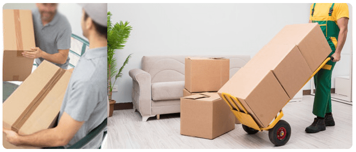  New Album of Office Removals Adelaide Office Removals - Photo 5 of 5