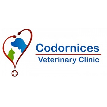  Profile Photos of Codornices Veterinary Clinic 944 San Pablo Avenue - Photo 1 of 4