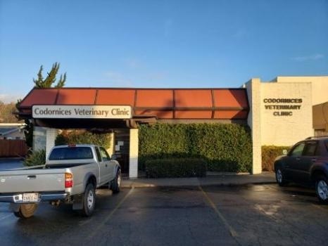  Profile Photos of Codornices Veterinary Clinic 944 San Pablo Avenue - Photo 2 of 4