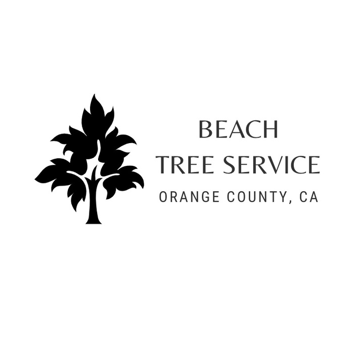  Profile Photos of Beach Tree Service Corona Del Mar - Photo 1 of 1