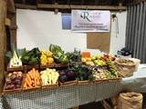 Rocket and Rhubarb Ltd, Chelmsford