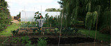 Rocket and Rhubarb Ltd, Chelmsford