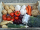 Rocket and Rhubarb Ltd, Chelmsford