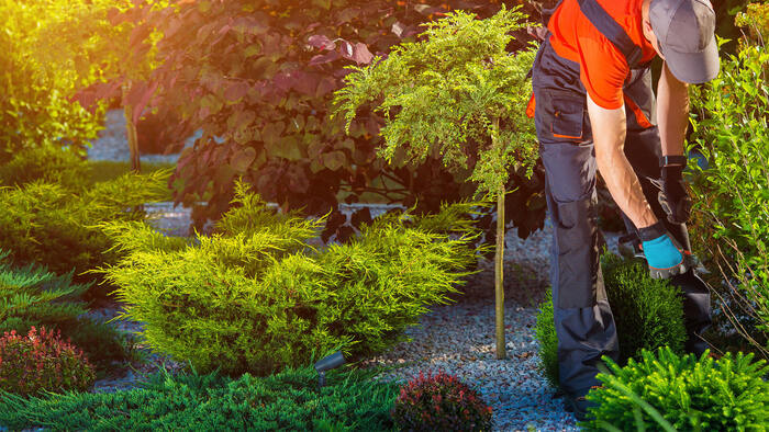  New Album of Randolph NJ Tree Service 31 Bennett Ave - Photo 2 of 4