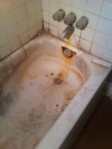  Ideal Resurfacing and Flooring 442 Hawthorne LN 