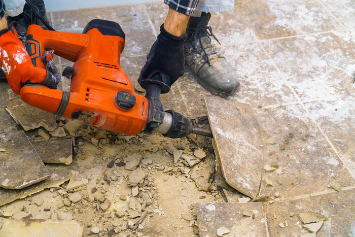  New Album of All-Floor-Prep 11 Freyberg Place - Photo 4 of 6