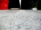 All-Floor-Prep, Howick