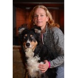  Petwise Vet Care 250 East Jarrad Street, Suite C, Box #116 