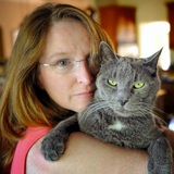  Petwise Vet Care 250 East Jarrad Street, Suite C, Box #116 