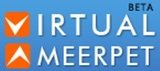 Virtual Ameerpet, Hyderabad
