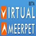 Virtual Ameerpet, Hyderabad
