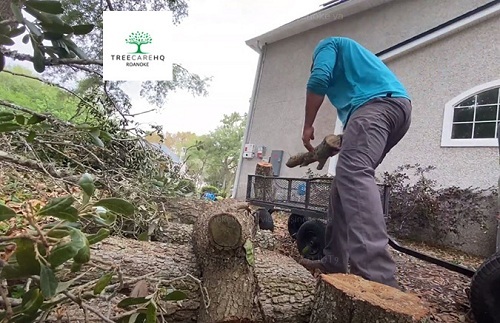  New Album of TreeCareHQ Roanoke 4727 Valley View Blvd NW #1006 - Photo 3 of 4