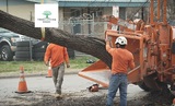 TreeCareHQ Roanoke, Roanoke