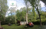 TreeCareHQ Roanoke, Roanoke