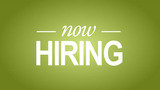 Career Odisha-Jobs Search and Consultancy Bhubaneswar, Bhubaneswar