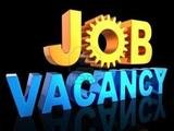 Career Odisha-Jobs Search and Consultancy Bhubaneswar, Bhubaneswar