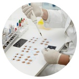  Molecular Oncology Testing 1818 E Elizabeth Ave Suite 315-D 