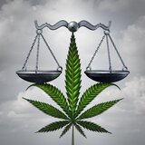 Same Day Ounce - Delivery Service, Langley