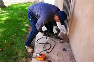  Profile Photos of Best Pest Control of Culver City 6040 Washington Boulevard - Photo 5 of 12
