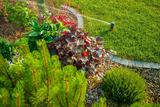  Wylie Lawn & Landscape 401 Fleming St. #1707 