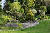  Wylie Lawn & Landscape 401 Fleming St. #1707 