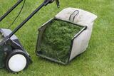  Wylie Lawn & Landscape 401 Fleming St. #1707 