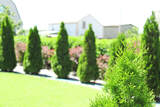 Wylie Lawn & Landscape, Wylie