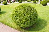 Wylie Lawn & Landscape, Wylie