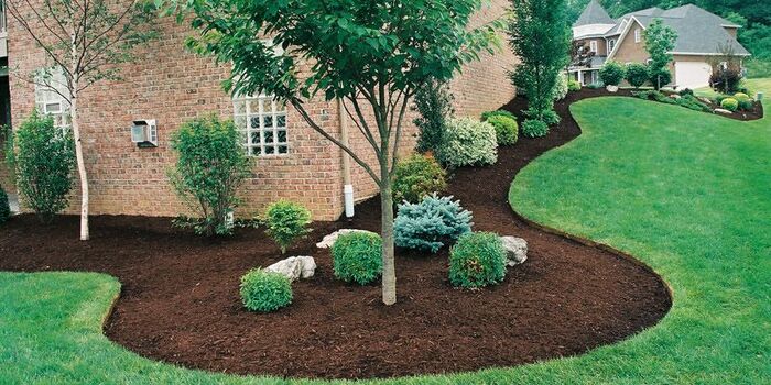  Profile Photos of Lawn Worx N/A - Photo 1 of 1