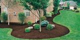 Lawn Worx, Georgetown