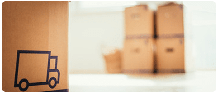  New Album of Removalists Belmont 133 Belgravia Street - Photo 1 of 6