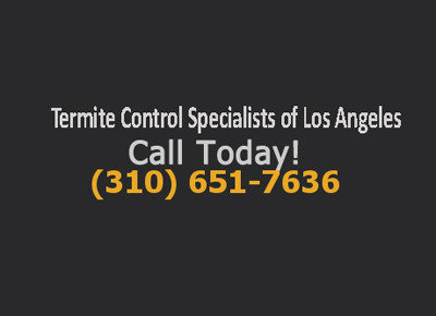  Profile Photos of Termite Control Specialists of Los Angeles 1422 Clela Ave. - Photo 1 of 12