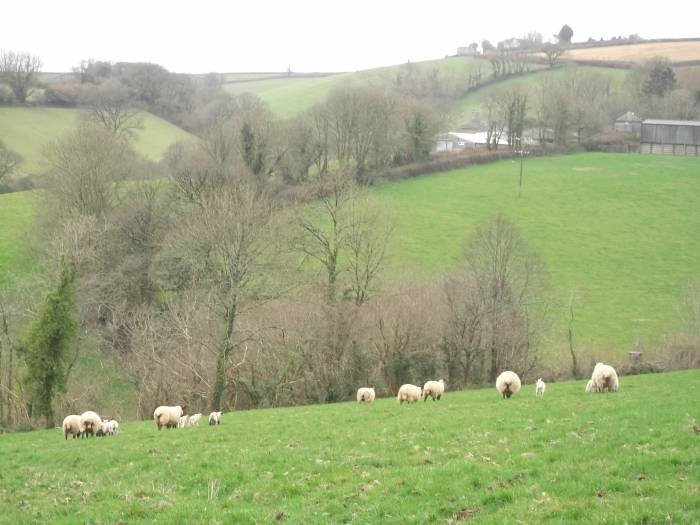  Profile Photos of Stert Quarry Farm Diptford - Photo 1 of 3