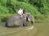 Hiliya Resort, Wayanad