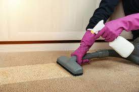  Profile Photos of Carpet Cleaning Mount Waverley 27 Marianne Way - Photo 1 of 3