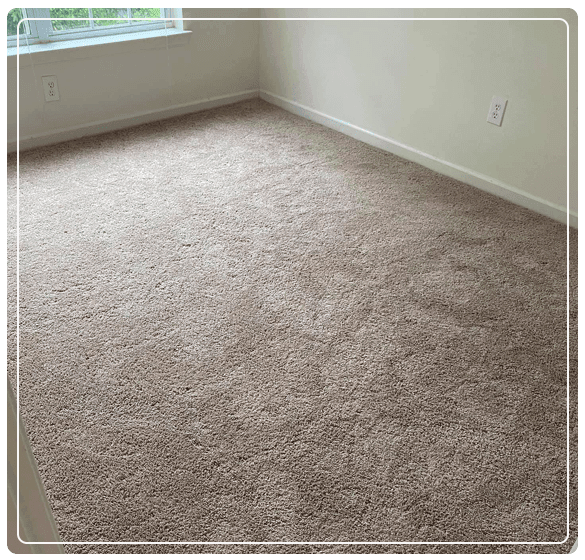  New Album of Carpet Cleaning Mount Waverley 27 Marianne Way - Photo 1 of 3
