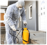 Pest Control Gisborne, Gisborne