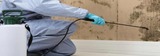 Pest Control Eltham, Eltham