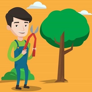  Profile Photos of Norwalk Tree Service 69 Suncrest Road - Photo 1 of 15