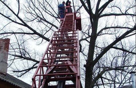  Profile Photos of Norwalk Tree Service 69 Suncrest Road - Photo 4 of 15