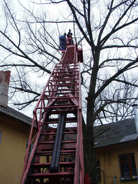  Profile Photos of Norwalk Tree Service 69 Suncrest Road - Photo 5 of 15