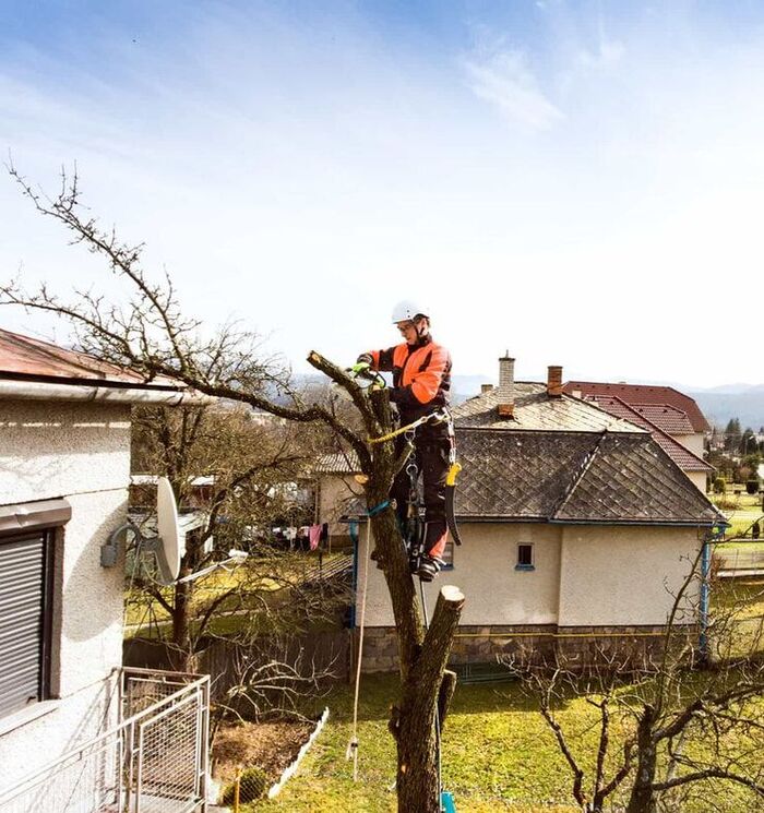  Profile Photos of Norwalk Tree Service 69 Suncrest Road - Photo 6 of 15