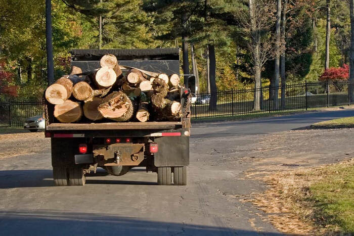  Profile Photos of Norwalk Tree Service 69 Suncrest Road - Photo 9 of 15