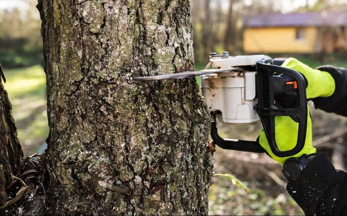  Profile Photos of Norwalk Tree Service 69 Suncrest Road - Photo 13 of 15