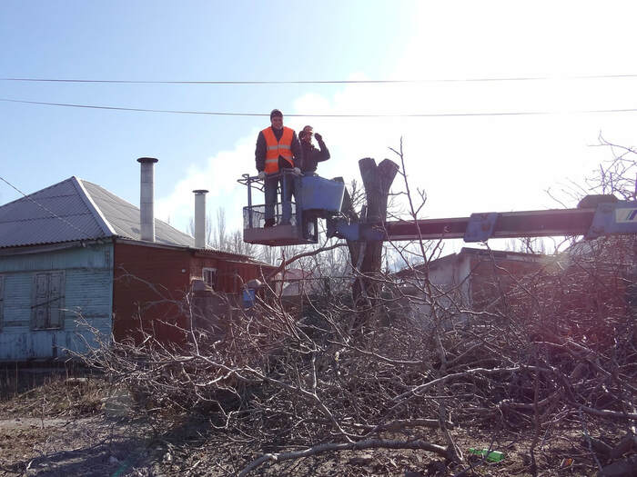  Profile Photos of Norwalk Tree Service 69 Suncrest Road - Photo 14 of 15