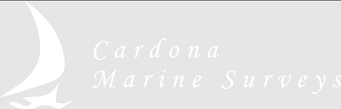  Profile Photos of Cardona Marine Surveys 118 Overlook Drive - Photo 1 of 1
