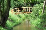 Garden Design Essex, Haskett, London