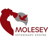 Molesey Veterinary Centre, East Molesey
